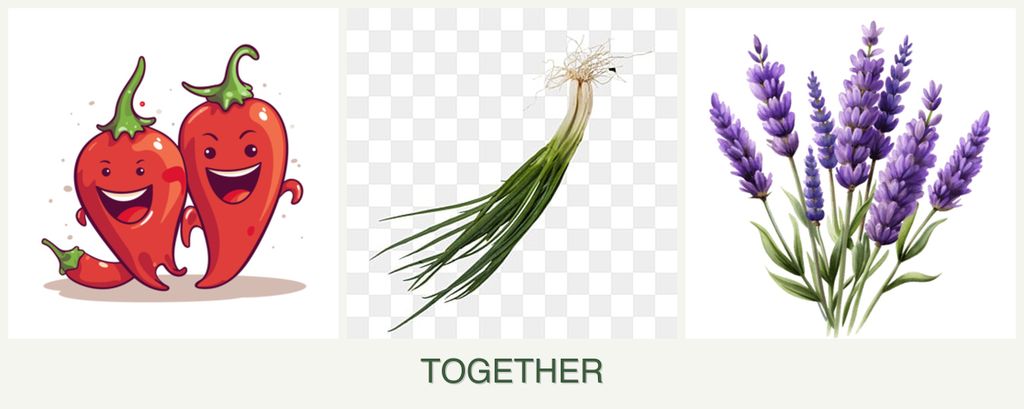 Can you plant peppers, chives and lavender together?