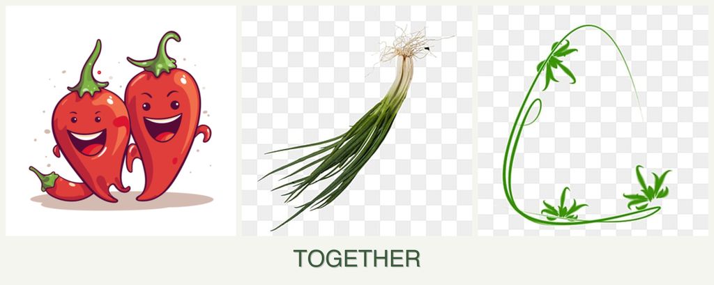 Can you plant peppers, chives and tarragon together?