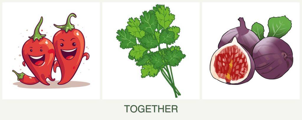 Can you plant peppers, cilantro and figs together?