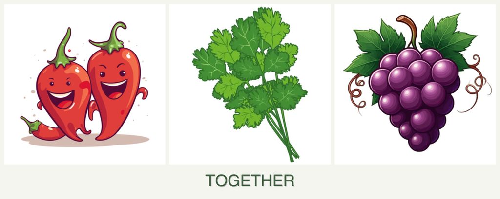 Can you plant peppers, cilantro and grapes together?