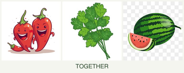 Can you plant peppers, cilantro and melons together?