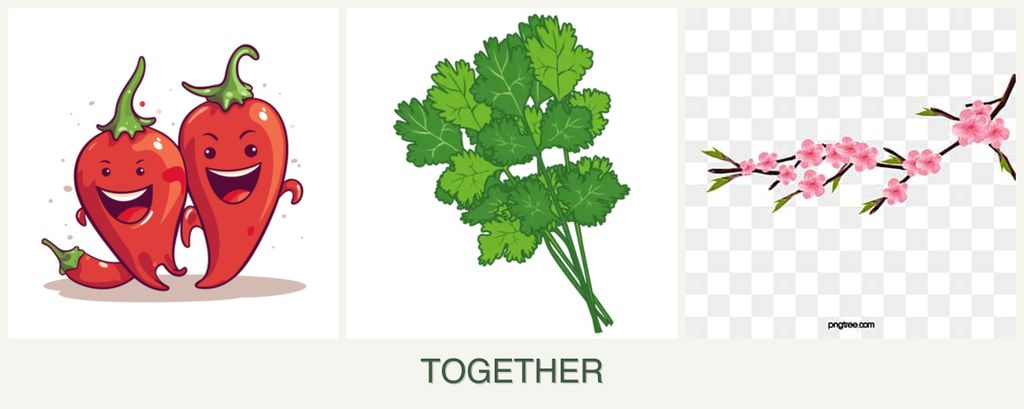 Can you plant peppers, cilantro and peaches together?