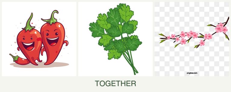 Can you plant peppers, cilantro and peaches together?