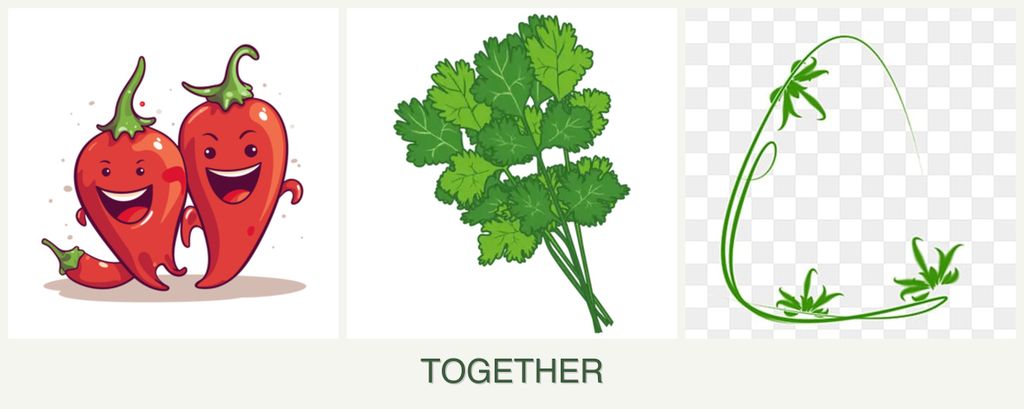 Can you plant peppers, cilantro and tarragon together?