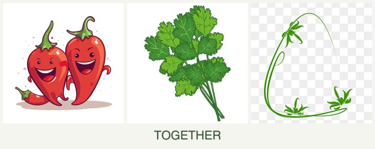 Can you plant peppers, cilantro and tarragon together?