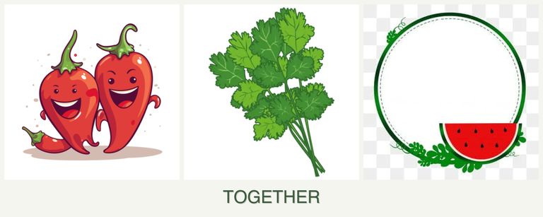 Can you plant peppers, cilantro and watermelons together?