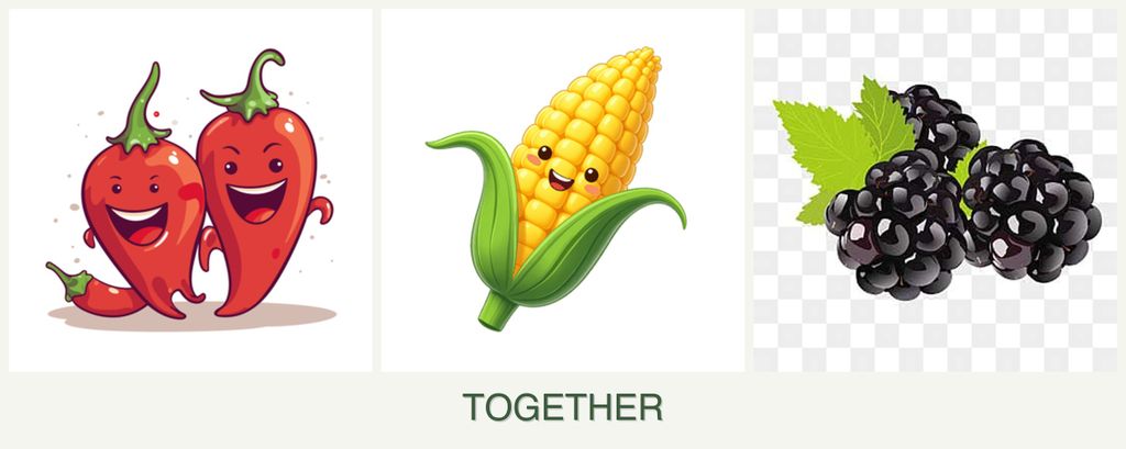 Can you plant peppers, corn and blackberries together?