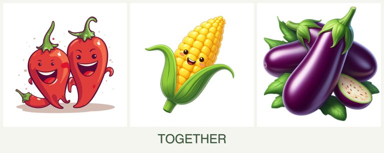Can you plant peppers, corn and eggplant together?