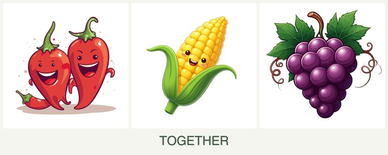 Can you plant peppers, corn and grapes together?