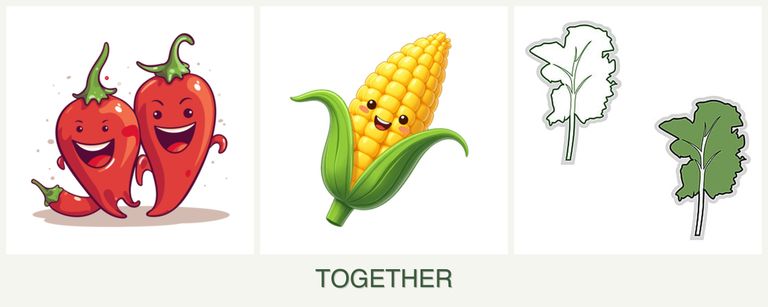 Can you plant peppers, corn and kale together?