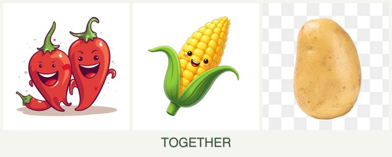 Can you plant peppers, corn and potatoes together?