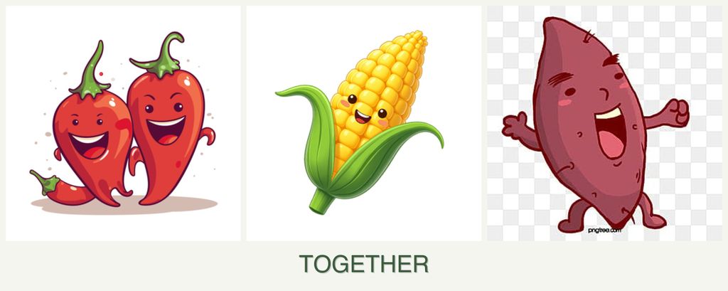Can you plant peppers, corn and sweet potatoes together?