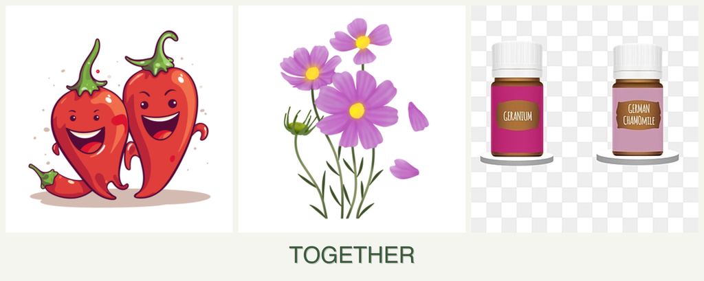 Can you plant peppers, cosmos and geraniums together?