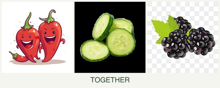 Can you plant peppers, cucumbers and blackberries together?