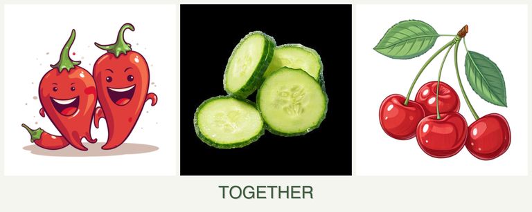 Can you plant peppers, cucumbers and cherries together?