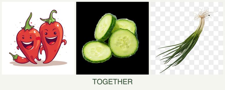 Can you plant peppers, cucumbers and chives together?