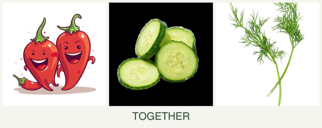 Can you plant peppers, cucumbers and dill together?
