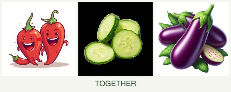 Can you plant peppers, cucumbers and eggplant together?