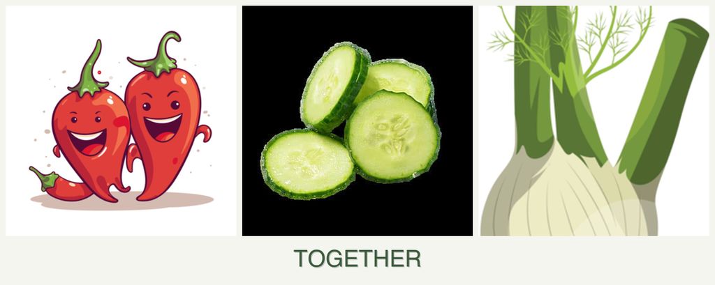 Can you plant peppers, cucumbers and fennel together?