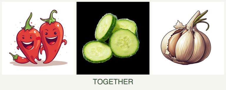 Can you plant peppers, cucumbers and garlic together?