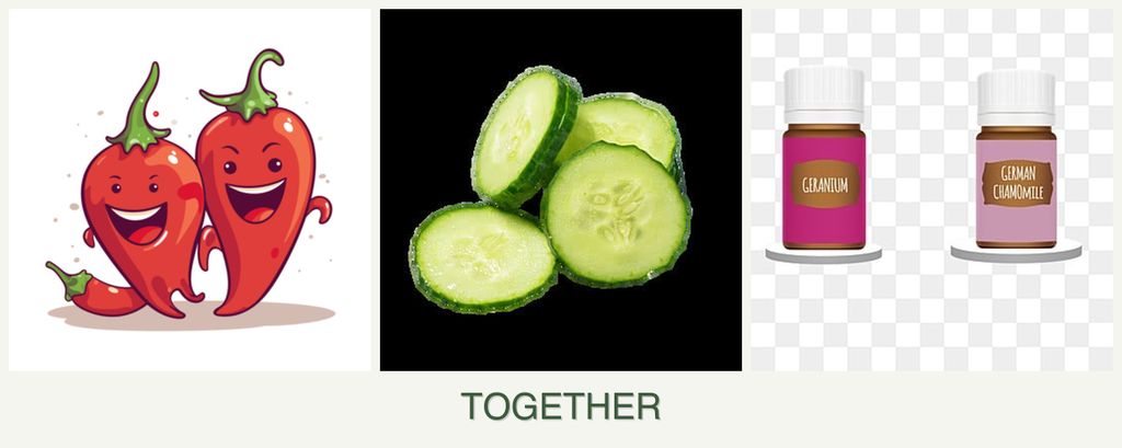 Can you plant peppers, cucumbers and geraniums together?