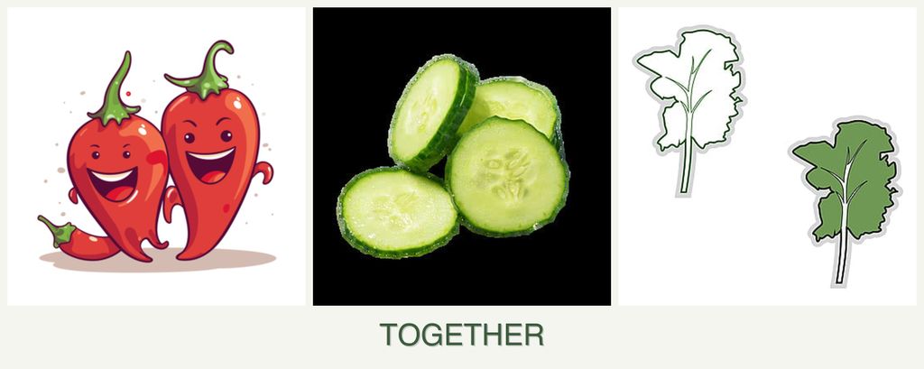 Can you plant peppers, cucumbers and kale together?