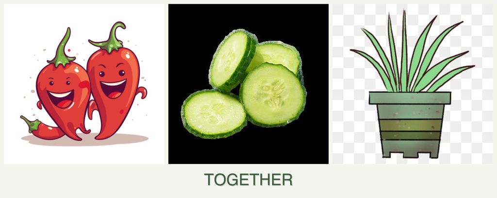Can you plant peppers, cucumbers and lemongrass together?