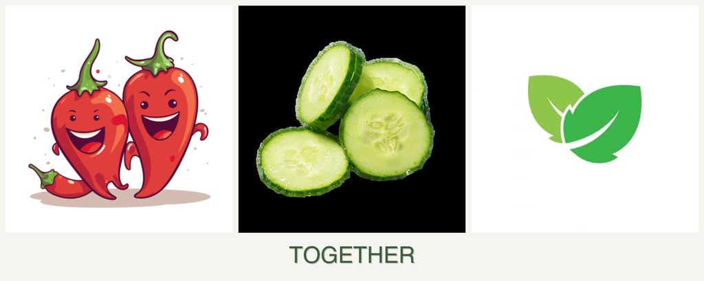 Can you plant peppers, cucumbers and mint together?