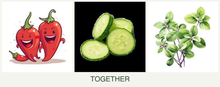 Can you plant peppers, cucumbers and oregano together?