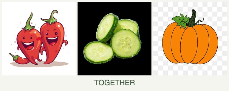 Can you plant peppers, cucumbers and pumpkin together?
