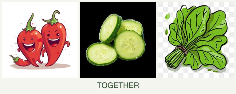 Can you plant peppers, cucumbers and spinach together?