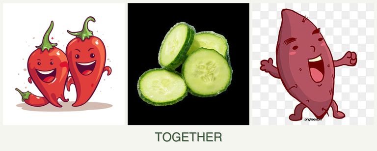 Can you plant peppers, cucumbers and sweet potatoes together?