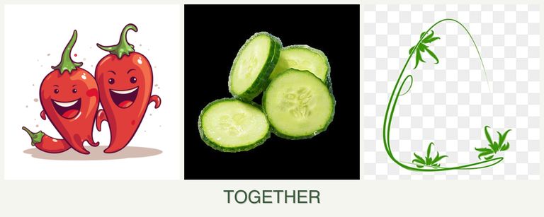 Can you plant peppers, cucumbers and tarragon together?