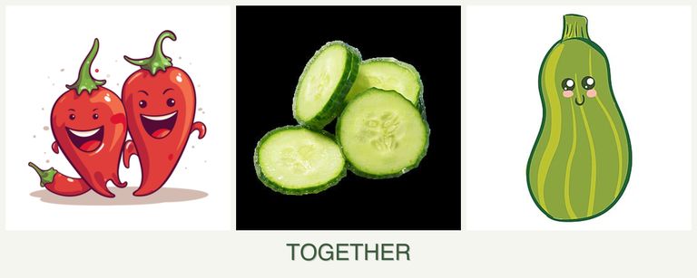 Can you plant peppers, cucumbers and zucchini together?