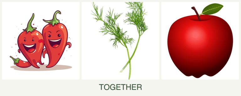 Can you plant peppers, dill and apples together?