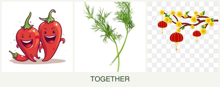 Can you plant peppers, dill and apricots together?