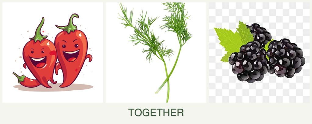 Can you plant peppers, dill and blackberries together?