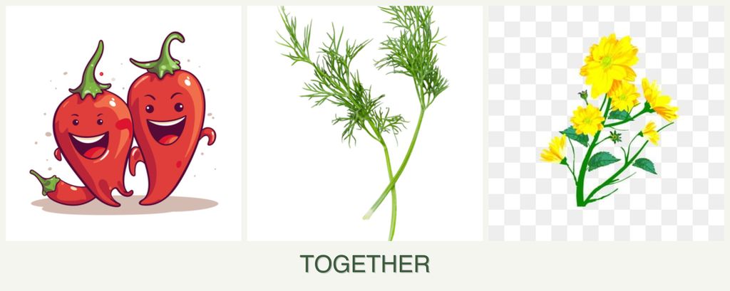Can you plant peppers, dill and calendula together?