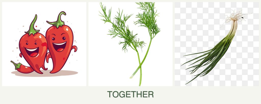 Can you plant peppers, dill and chives together?