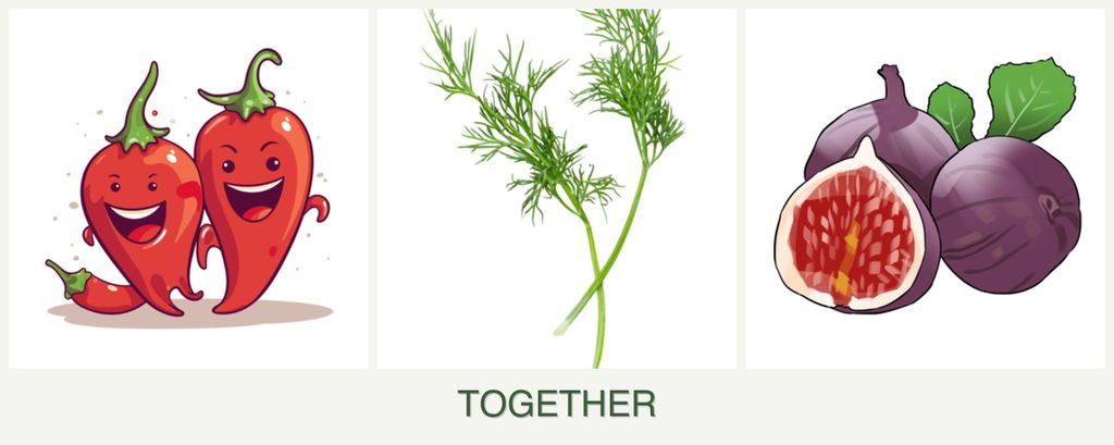 Can you plant peppers, dill and figs together?