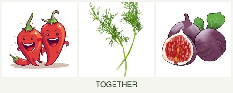 Can you plant peppers, dill and figs together?