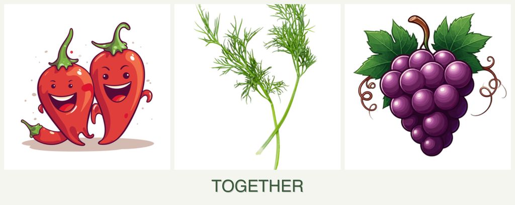 Can you plant peppers, dill and grapes together?