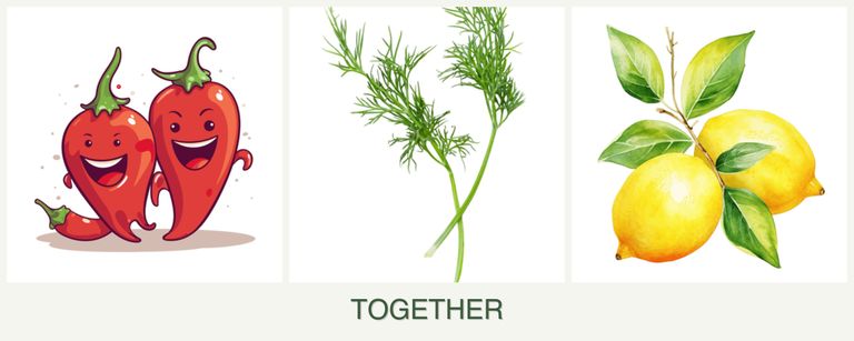 Can you plant peppers, dill and lemons together?