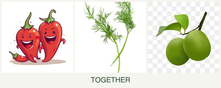 Can you plant peppers, dill and plums together?