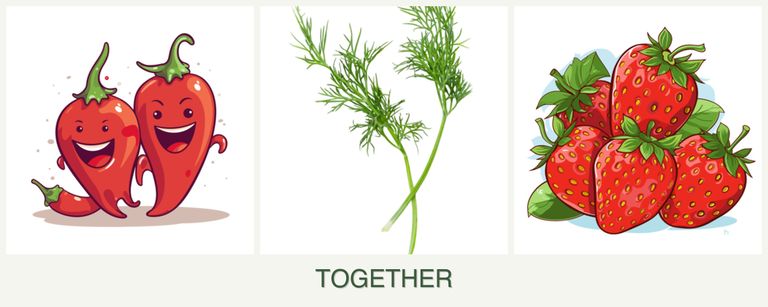 Can you plant peppers, dill and strawberries together?