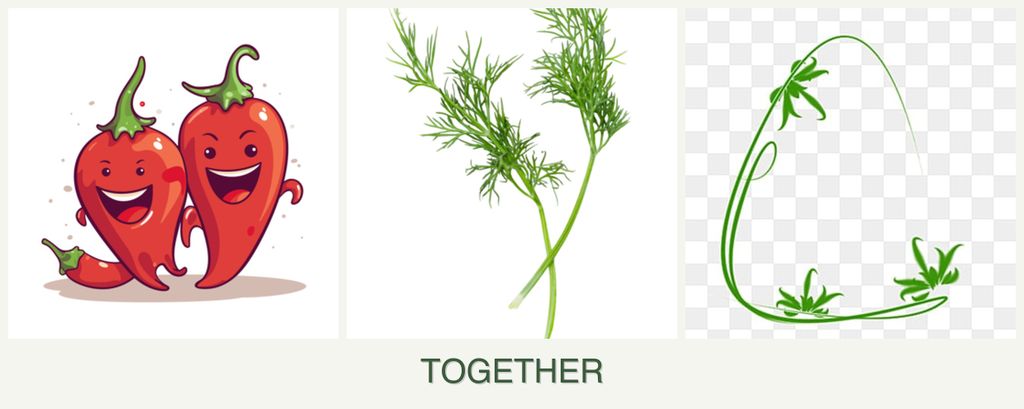 Can you plant peppers, dill and tarragon together?