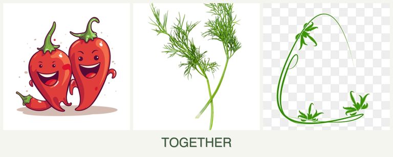 Can you plant peppers, dill and tarragon together?
