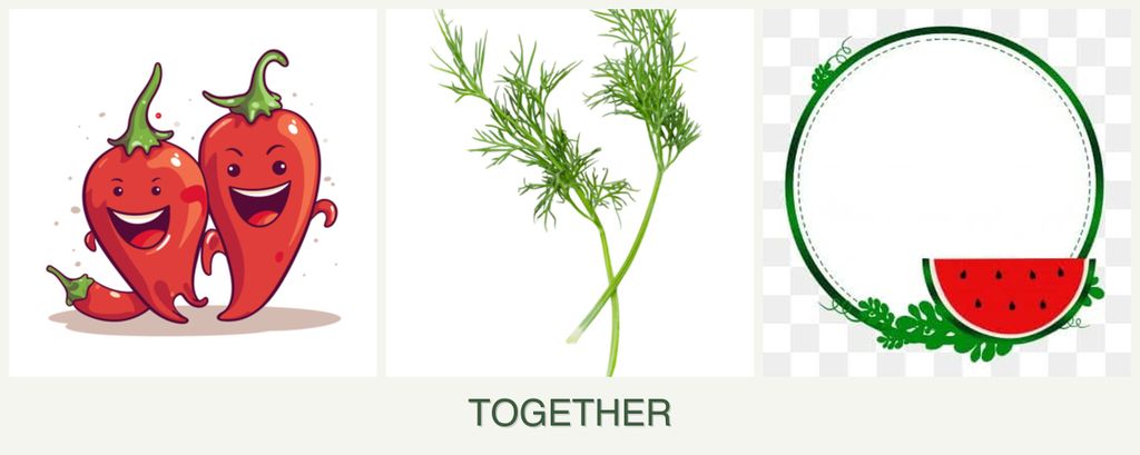 Can you plant peppers, dill and watermelons together?