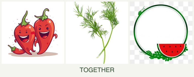Can you plant peppers, dill and watermelons together?