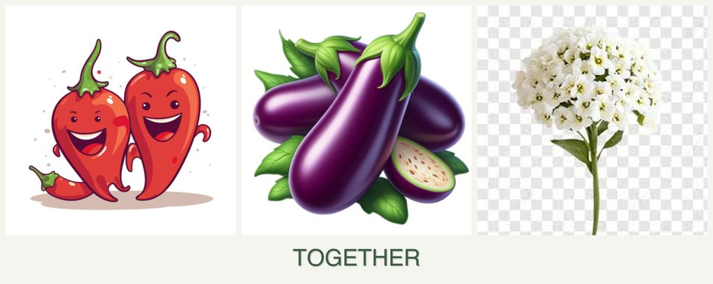 Can you plant peppers, eggplant and alyssum together?
